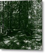 Mysterious Forest #1 Metal Print