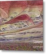 John Day Fossil Beds Painted Hills Metal Print