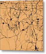 Neuron Network, Artwork #1 Metal Print