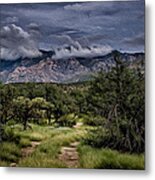 Odyssey Into Clouds Oil Metal Print