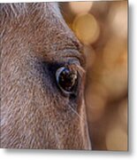 On Watch #1 Metal Print