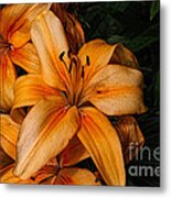 Orange Lilies Metal Print
