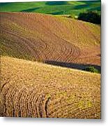 Palouse Swirls #1 Metal Print