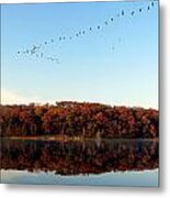 Pine Lake Reflection 2 Metal Print