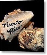 Puerto Rico Seashells #1 Metal Print