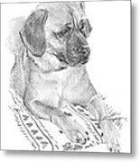 Puppy On A Blanket Pencil Portrait Metal Print