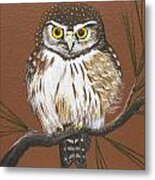 Pygmy Owl #1 Metal Print