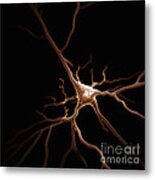 Pyramidal Neuron #1 Metal Print