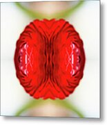 Red Ranunculus #1 Metal Print