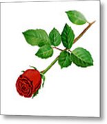 Red Rose #2 Metal Print