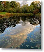 Reflective Pool #1 Metal Print