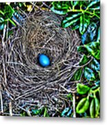 Robin's Egg Blue #2 Metal Print