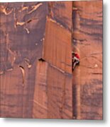 Rock Climber Indian Creek Utah Metal Print