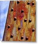 Rose In The Pillar  #1 Metal Print