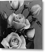 Roses #1 Metal Print