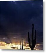 Silhouetted Saguaro Cactus Sunset At Dusk Arizona State Usa #1 Metal Print