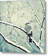 Sparrow On The Snowy Branch Metal Print
