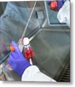 Stem Cell Drug Research #1 Metal Print