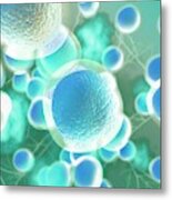 Stem Cells Metal Print