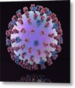 Swine Flu Virus H1n1 #1 Metal Print