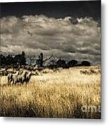 Tasmania Landscape Of An Outback Cattle Station #1 Metal Print