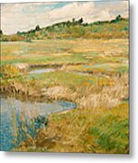 The Concord Meadow #1 Metal Print