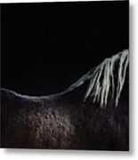 The Naked Horse #1 Metal Print