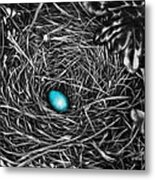 The Robin's Egg Metal Print