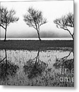 Three Trees #1 Metal Print