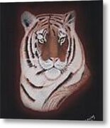 Tiger Portrait Metal Print