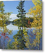 Tobique River New Brunswick Canada #1 Metal Print