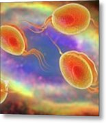 Trichomonas Vaginalis #1 Metal Print