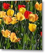 Tulips #1 Metal Print