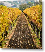 Vines #2 Metal Print