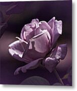 Vintage Purple Rose #2 Metal Print