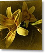 Vintage Yellow Lily Metal Print