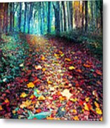 Where Leaves Gather #1 Metal Print