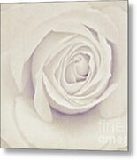 White Rose #1 Metal Print