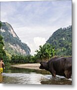 Young Boy With Water Buffalo In River #1 Metal Print