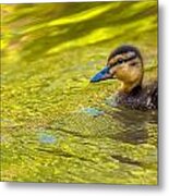 Duke Gardens #10 Metal Print