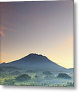 Indonesia, Bali, Rice Fields And #10 Metal Print