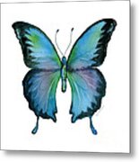 12 Blue Emperor Butterfly Metal Print
