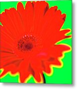 Organic #13 Metal Print