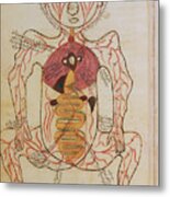 15th Century Drawing Of The Gut And Arteries. Metal Print