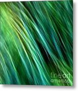 Meditations On Movement In Nature #16 Metal Print
