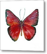 16 Mesene Rubella Butterfly Metal Print