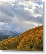 Ohio Creek Road Fall Colors #4 Metal Print