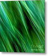 Meditations On Movement In Nature #17 Metal Print