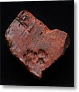 1700 Year Old Roman Tile With Puppy Metal Print