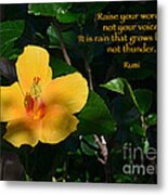 174- Rumi Metal Print